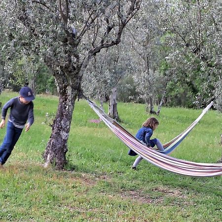 Quinta Do Santinho Βίλα Amarante Εξωτερικό φωτογραφία