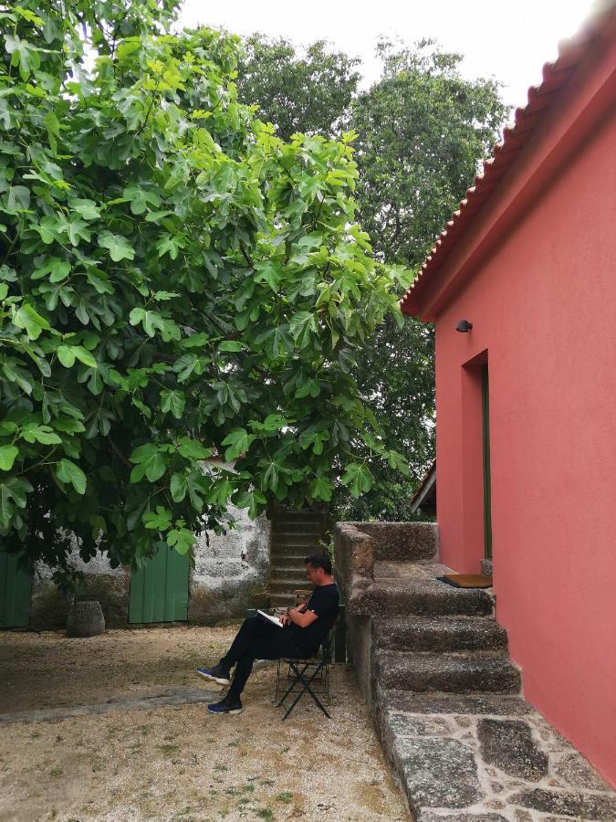 Quinta Do Santinho Βίλα Amarante Εξωτερικό φωτογραφία