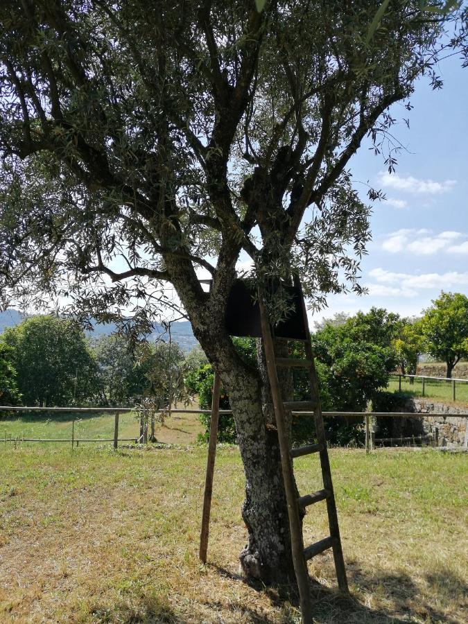 Quinta Do Santinho Βίλα Amarante Εξωτερικό φωτογραφία