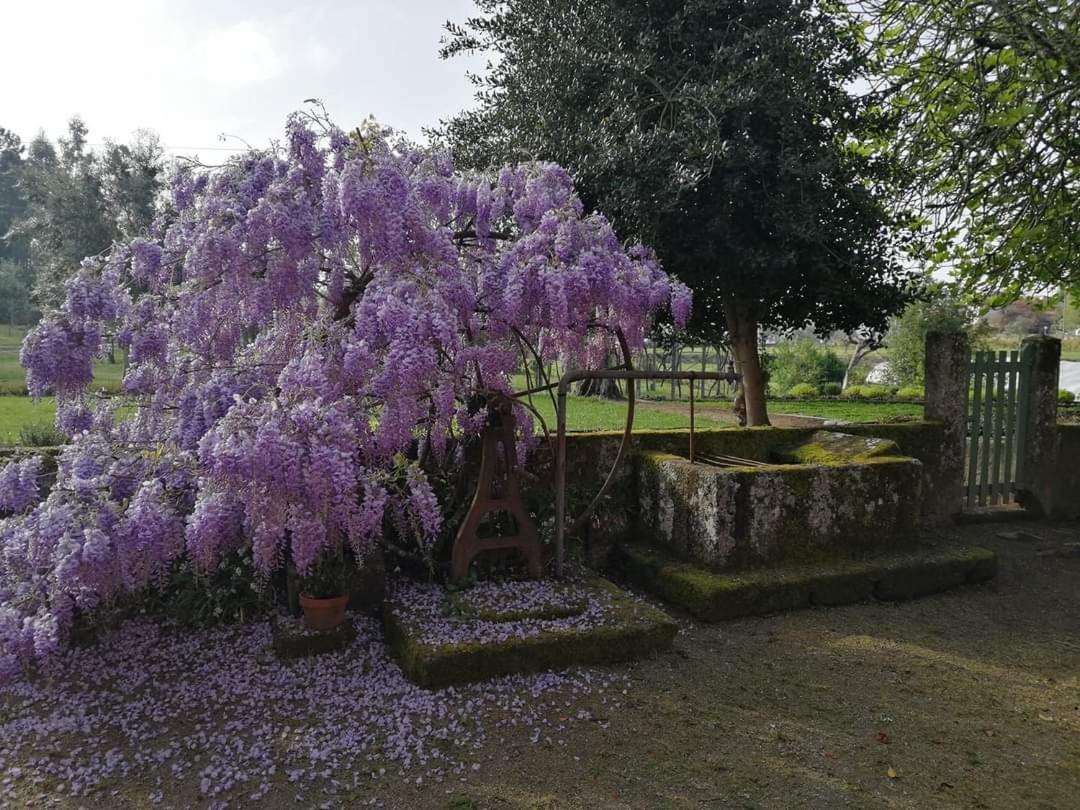 Quinta Do Santinho Βίλα Amarante Εξωτερικό φωτογραφία